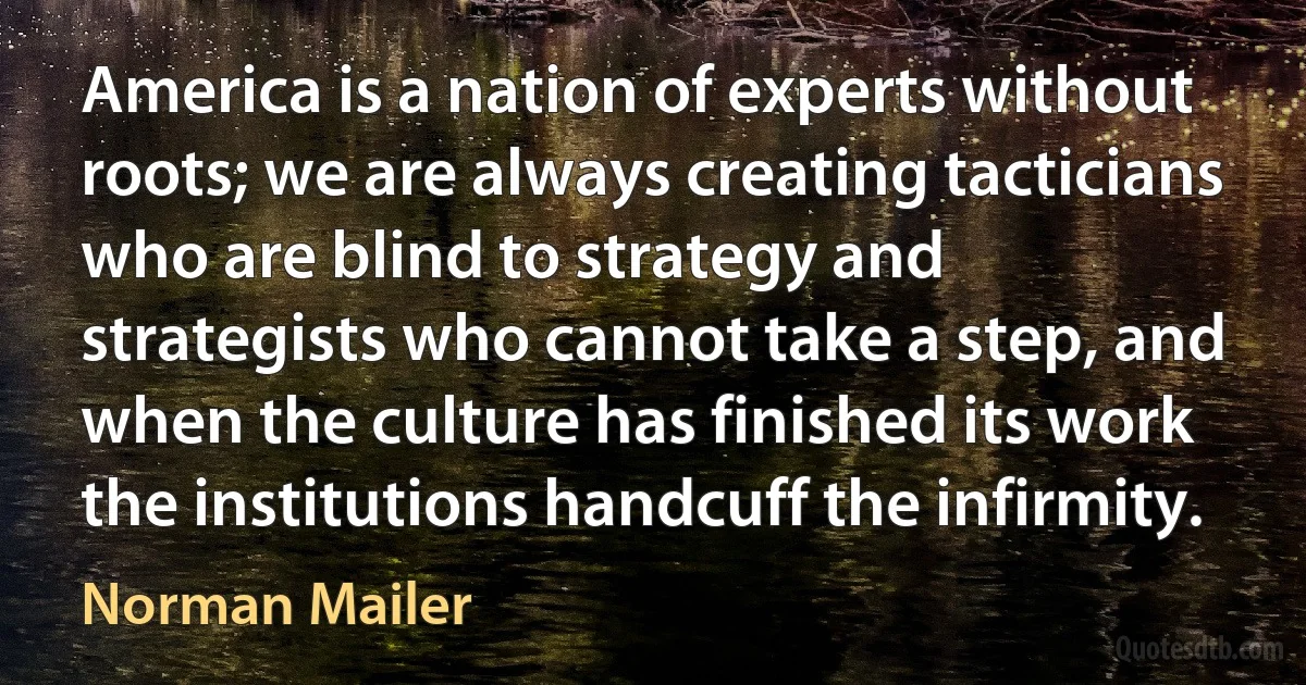 America is a nation of experts without roots; we are always creating tacticians who are blind to strategy and strategists who cannot take a step, and when the culture has finished its work the institutions handcuff the infirmity. (Norman Mailer)