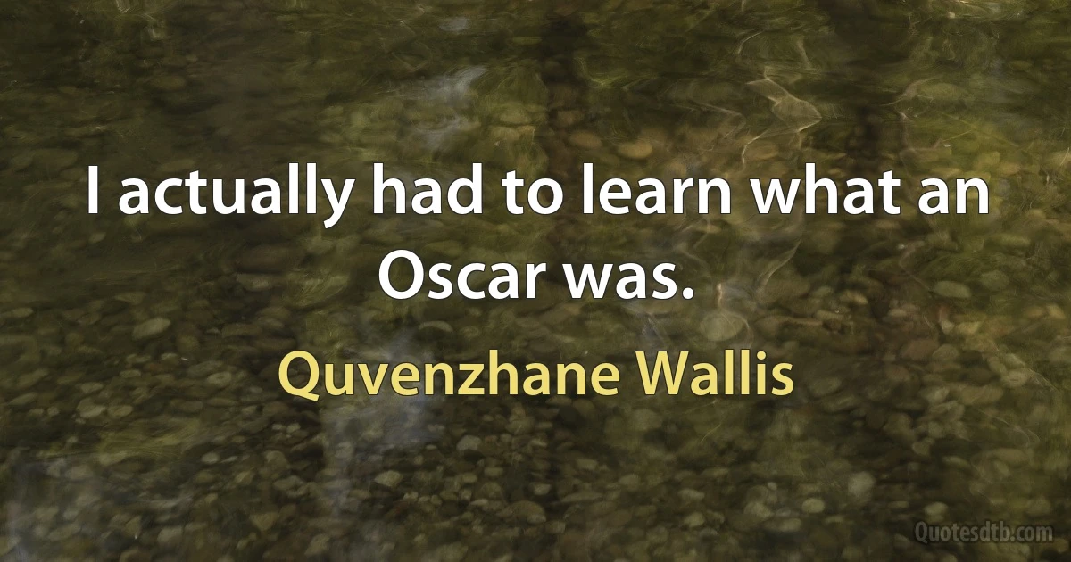 I actually had to learn what an Oscar was. (Quvenzhane Wallis)