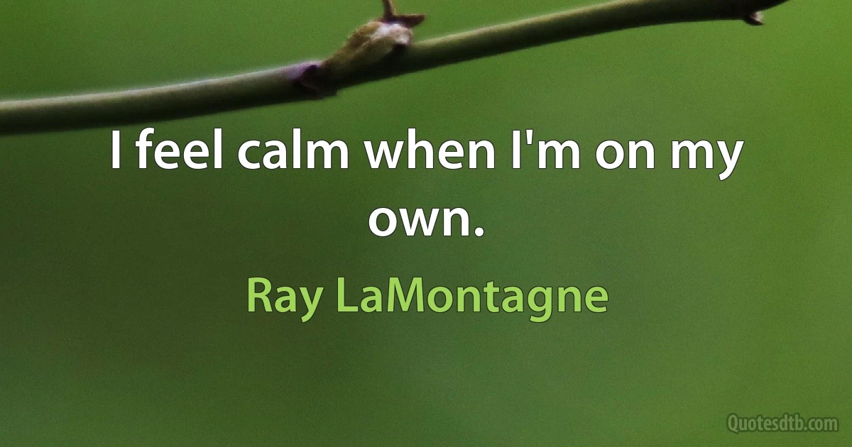 I feel calm when I'm on my own. (Ray LaMontagne)