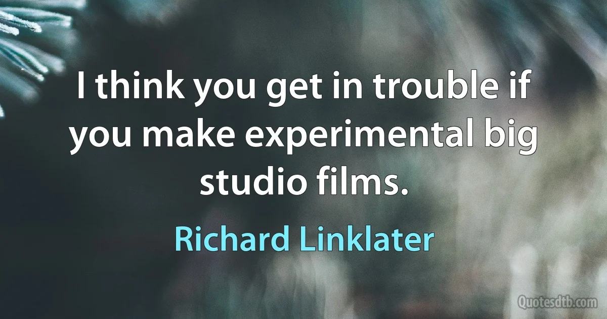 I think you get in trouble if you make experimental big studio films. (Richard Linklater)