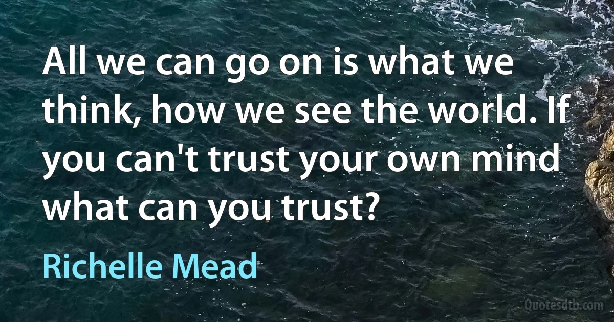 All we can go on is what we think, how we see the world. If you can't trust your own mind what can you trust? (Richelle Mead)