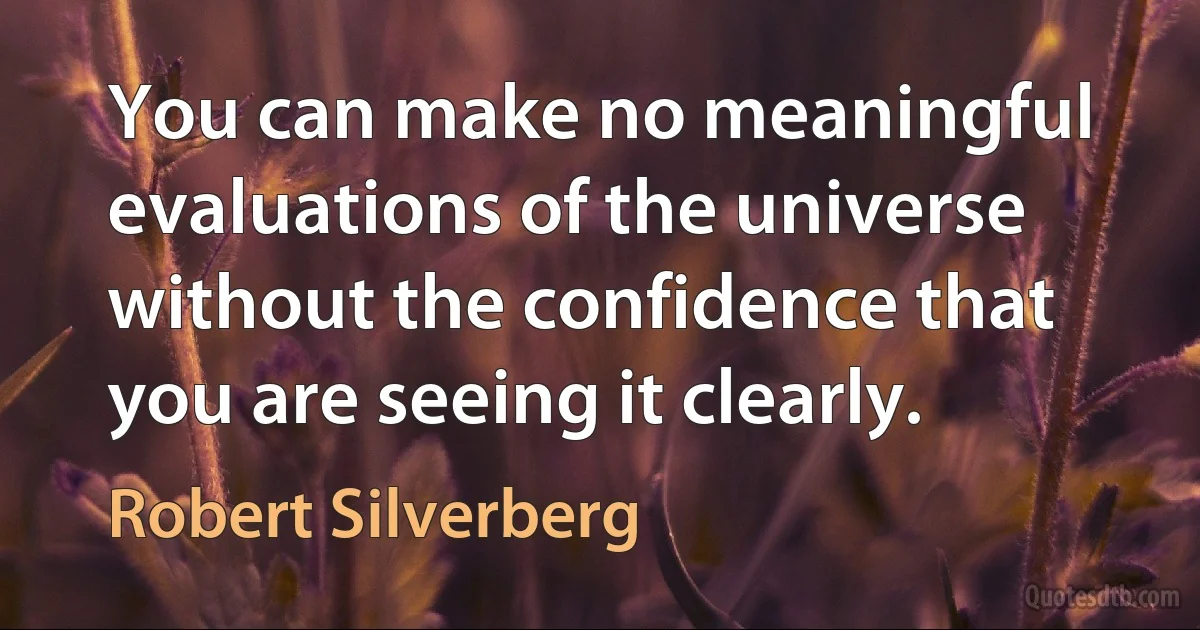 You can make no meaningful evaluations of the universe without the confidence that you are seeing it clearly. (Robert Silverberg)