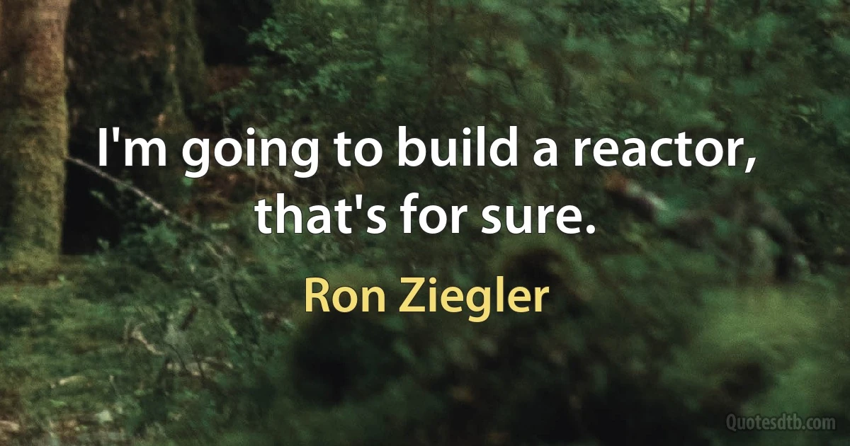 I'm going to build a reactor, that's for sure. (Ron Ziegler)