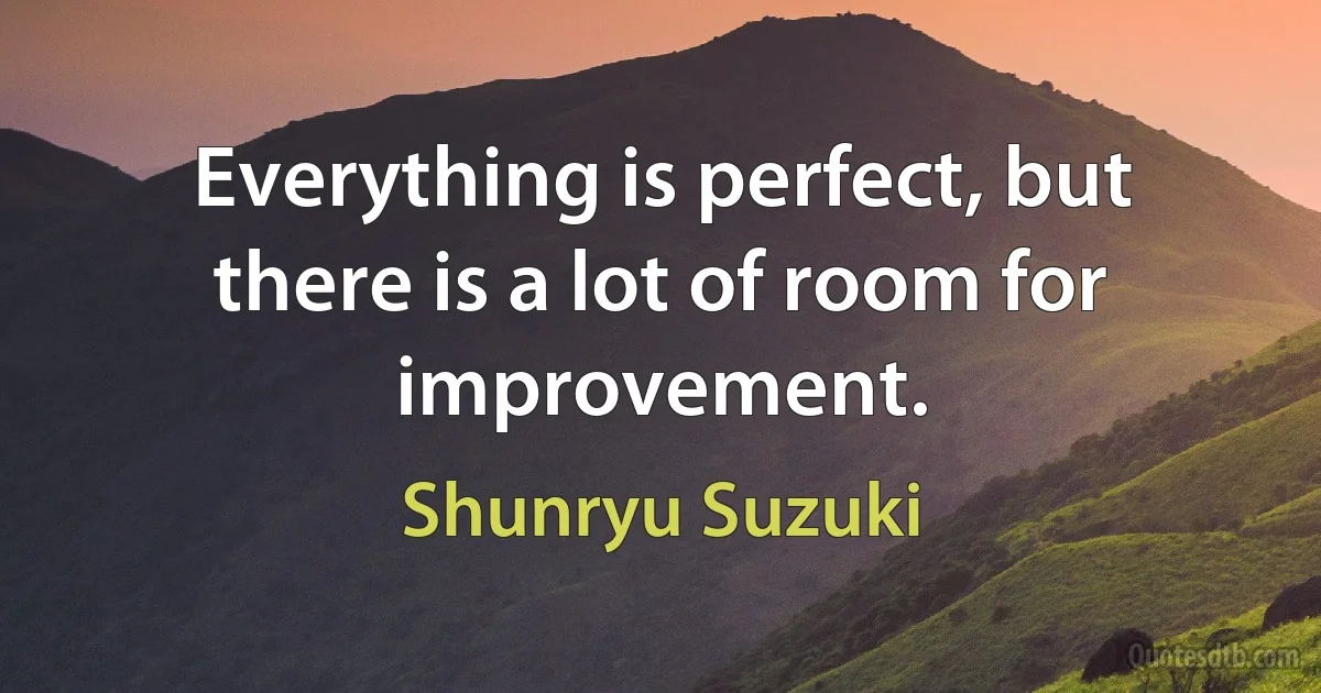 Everything is perfect, but there is a lot of room for improvement. (Shunryu Suzuki)