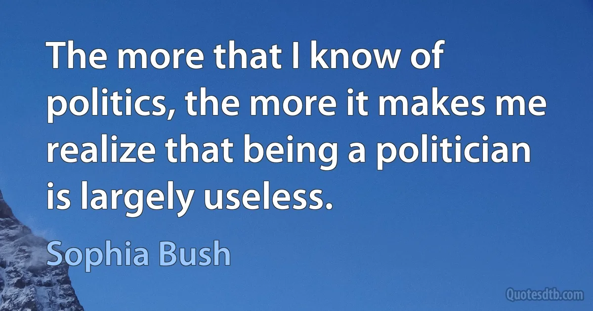 The more that I know of politics, the more it makes me realize that being a politician is largely useless. (Sophia Bush)