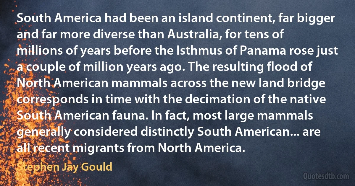 South America had been an island continent, far bigger and far more diverse than Australia, for tens of millions of years before the Isthmus of Panama rose just a couple of million years ago. The resulting flood of North American mammals across the new land bridge corresponds in time with the decimation of the native South American fauna. In fact, most large mammals generally considered distinctly South American... are all recent migrants from North America. (Stephen Jay Gould)