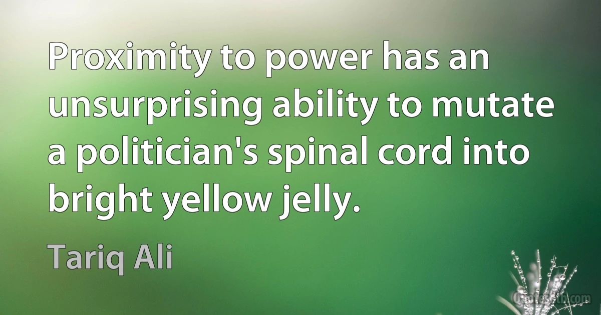 Proximity to power has an unsurprising ability to mutate a politician's spinal cord into bright yellow jelly. (Tariq Ali)