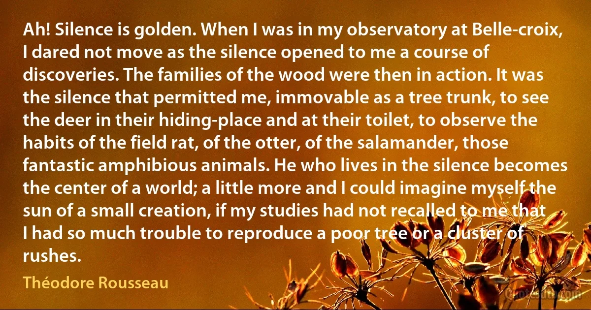 Ah! Silence is golden. When I was in my observatory at Belle-croix, I dared not move as the silence opened to me a course of discoveries. The families of the wood were then in action. It was the silence that permitted me, immovable as a tree trunk, to see the deer in their hiding-place and at their toilet, to observe the habits of the field rat, of the otter, of the salamander, those fantastic amphibious animals. He who lives in the silence becomes the center of a world; a little more and I could imagine myself the sun of a small creation, if my studies had not recalled to me that I had so much trouble to reproduce a poor tree or a cluster of rushes. (Théodore Rousseau)