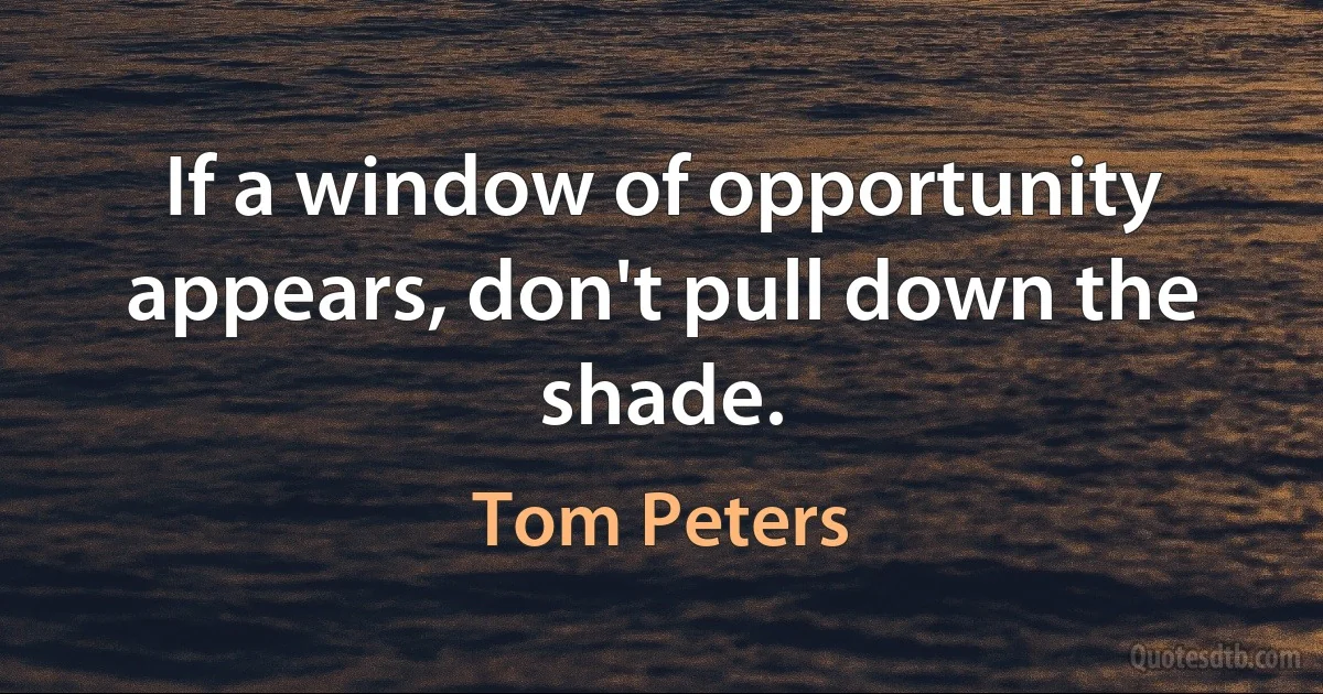 If a window of opportunity appears, don't pull down the shade. (Tom Peters)