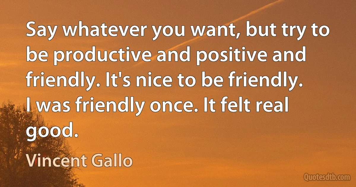 Say whatever you want, but try to be productive and positive and friendly. It's nice to be friendly. I was friendly once. It felt real good. (Vincent Gallo)