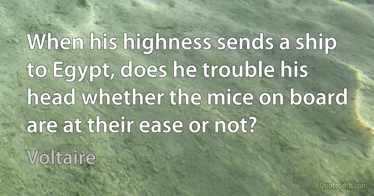 When his highness sends a ship to Egypt, does he trouble his head whether the mice on board are at their ease or not? (Voltaire)