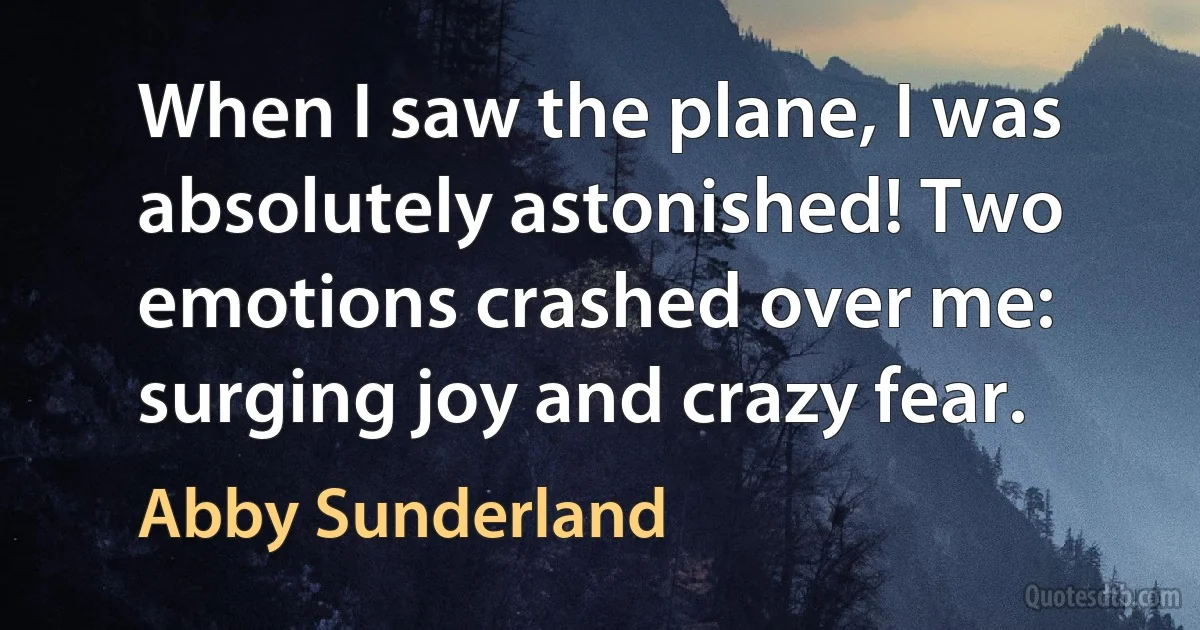 When I saw the plane, I was absolutely astonished! Two emotions crashed over me: surging joy and crazy fear. (Abby Sunderland)