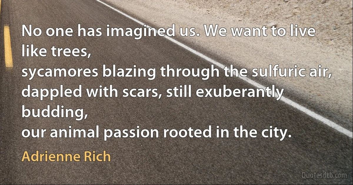 No one has imagined us. We want to live like trees,
sycamores blazing through the sulfuric air,
dappled with scars, still exuberantly budding,
our animal passion rooted in the city. (Adrienne Rich)