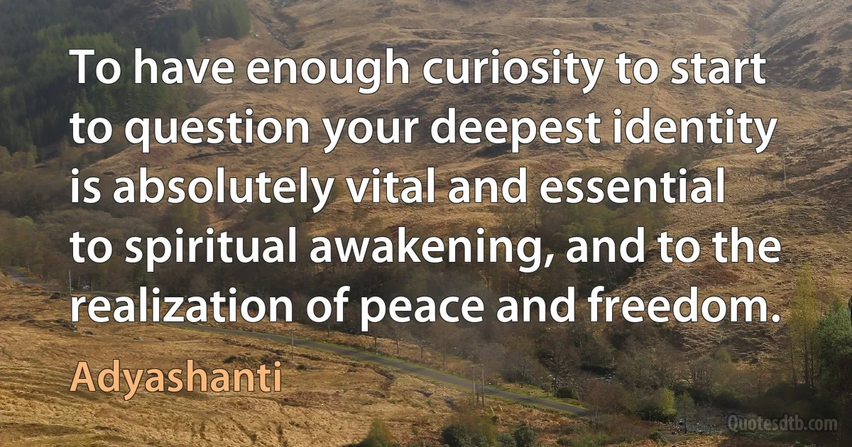 To have enough curiosity to start to question your deepest identity is absolutely vital and essential to spiritual awakening, and to the realization of peace and freedom. (Adyashanti)