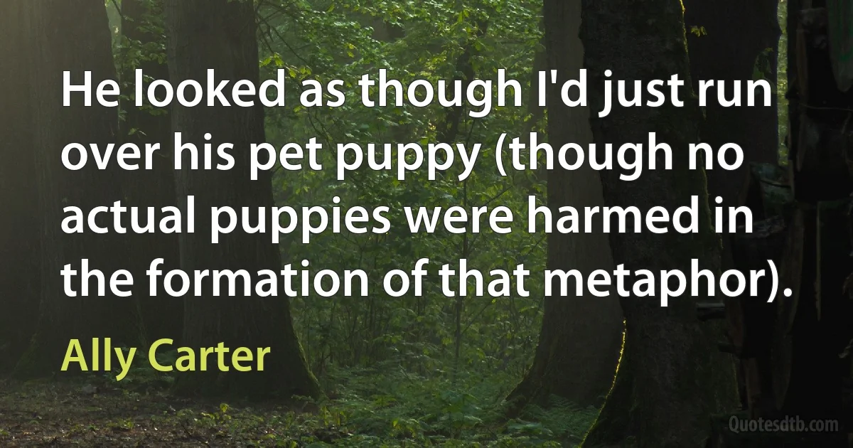 He looked as though I'd just run over his pet puppy (though no actual puppies were harmed in the formation of that metaphor). (Ally Carter)