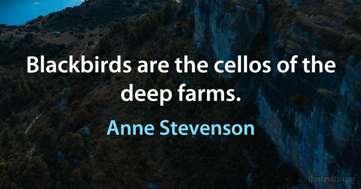 Blackbirds are the cellos of the deep farms. (Anne Stevenson)