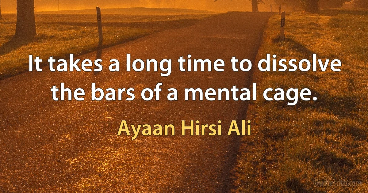 It takes a long time to dissolve the bars of a mental cage. (Ayaan Hirsi Ali)