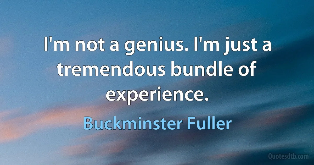 I'm not a genius. I'm just a tremendous bundle of experience. (Buckminster Fuller)