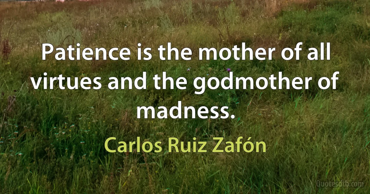 Patience is the mother of all virtues and the godmother of madness. (Carlos Ruiz Zafón)