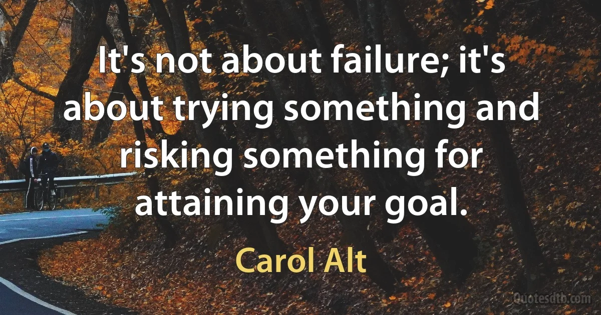 It's not about failure; it's about trying something and risking something for attaining your goal. (Carol Alt)