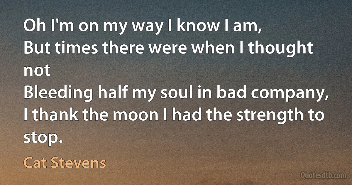 Oh I'm on my way I know I am,
But times there were when I thought not
Bleeding half my soul in bad company,
I thank the moon I had the strength to stop. (Cat Stevens)