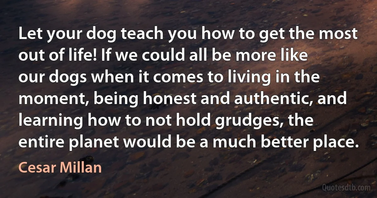 Let your dog teach you how to get the most out of life! If we could all be more like our dogs when it comes to living in the moment, being honest and authentic, and learning how to not hold grudges, the entire planet would be a much better place. (Cesar Millan)