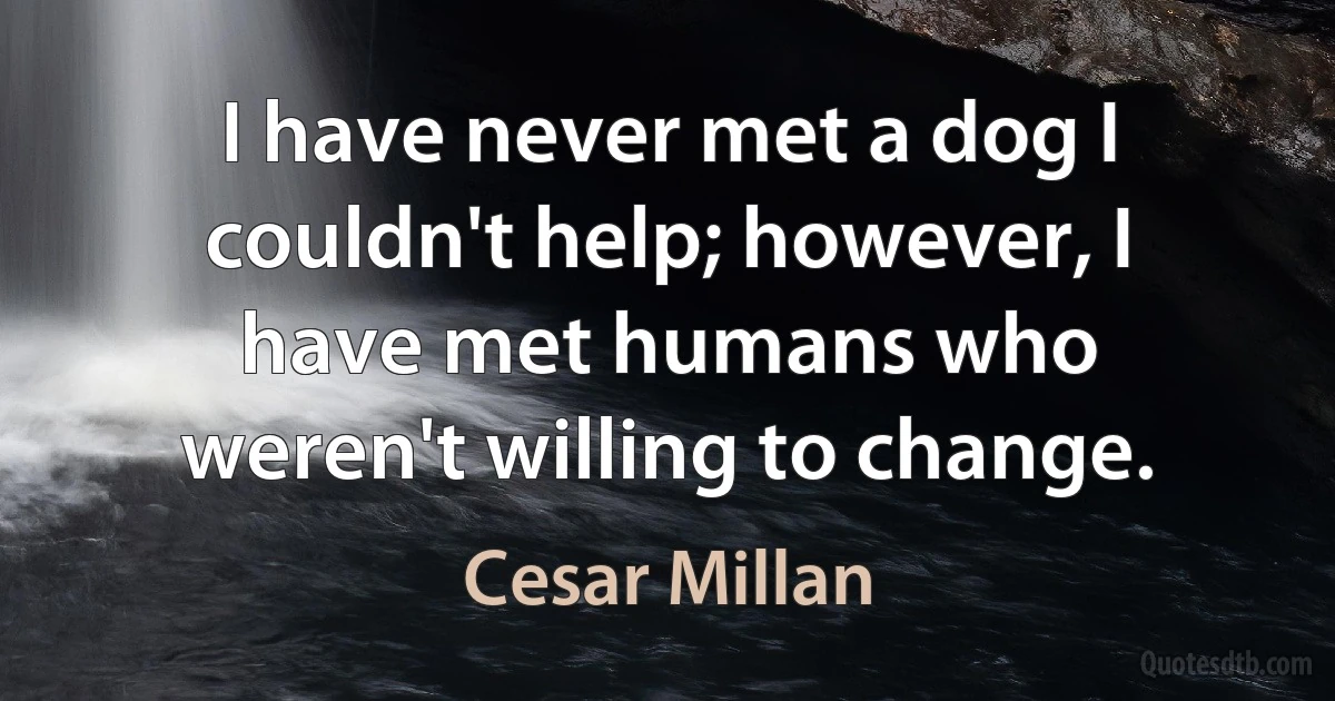 I have never met a dog I couldn't help; however, I have met humans who weren't willing to change. (Cesar Millan)