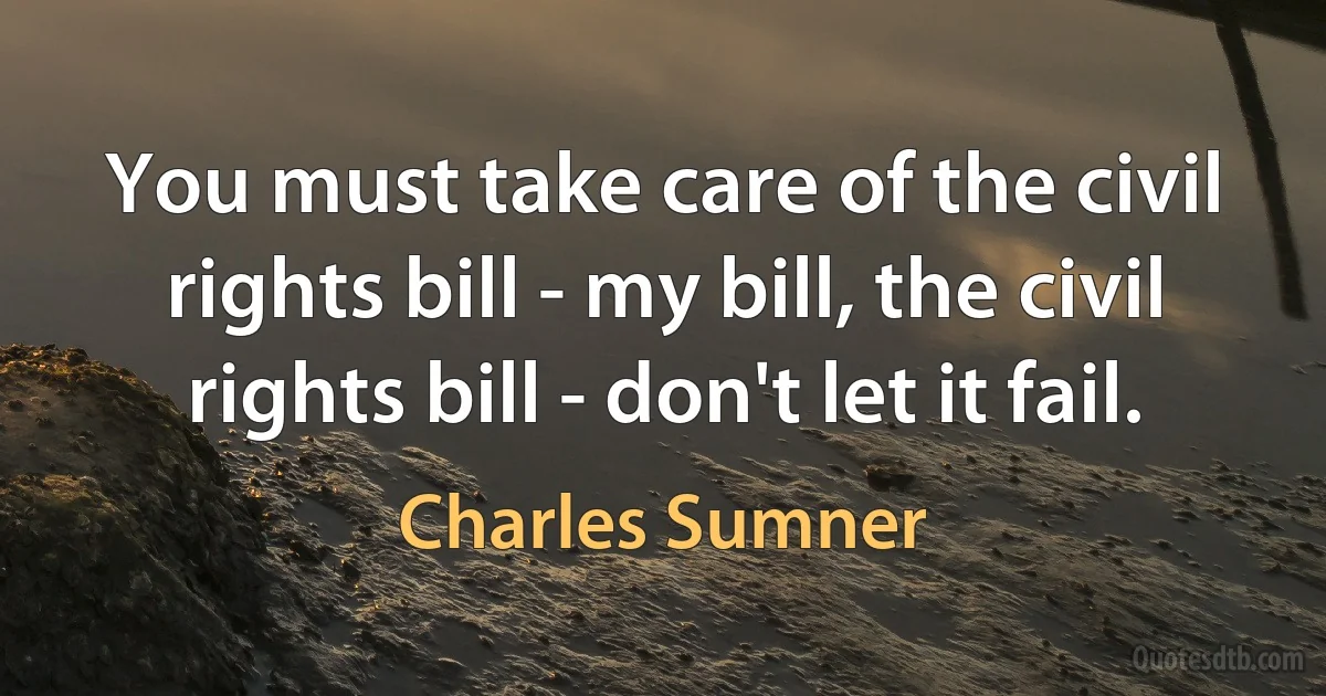 You must take care of the civil rights bill - my bill, the civil rights bill - don't let it fail. (Charles Sumner)