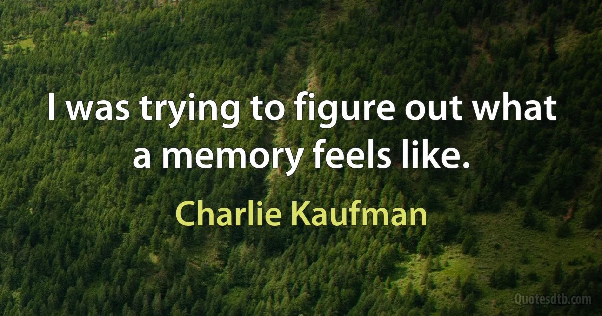 I was trying to figure out what a memory feels like. (Charlie Kaufman)