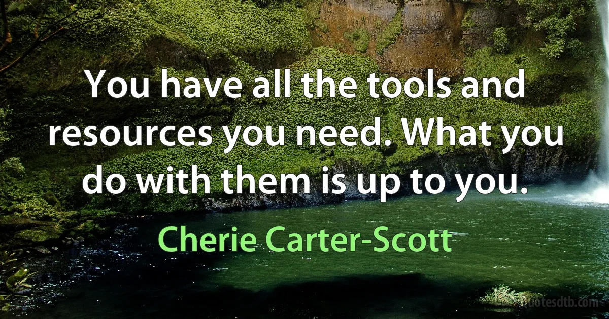 You have all the tools and resources you need. What you do with them is up to you. (Cherie Carter-Scott)