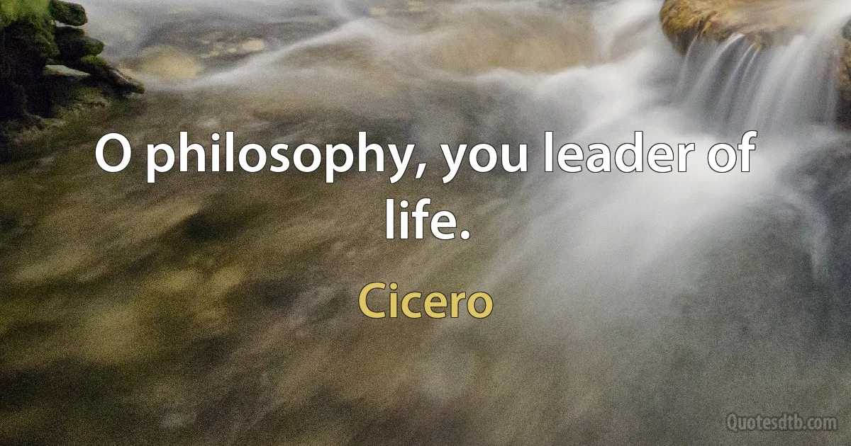 O philosophy, you leader of life. (Cicero)