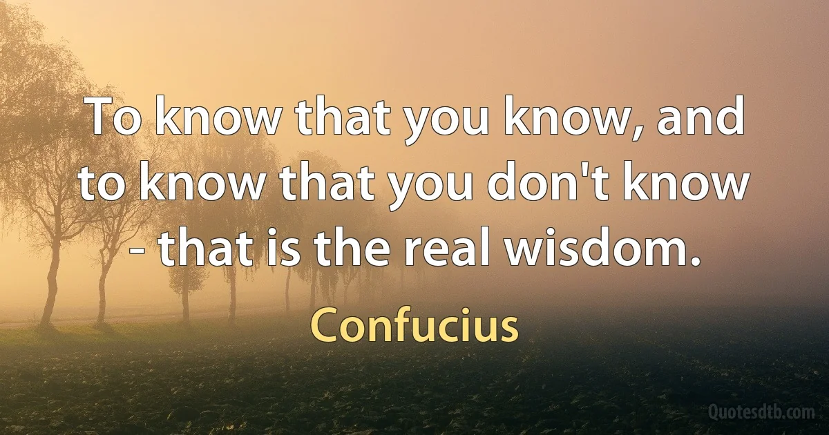 To know that you know, and to know that you don't know - that is the real wisdom. (Confucius)