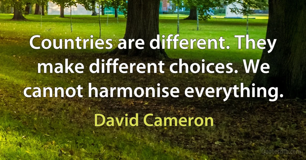 Countries are different. They make different choices. We cannot harmonise everything. (David Cameron)