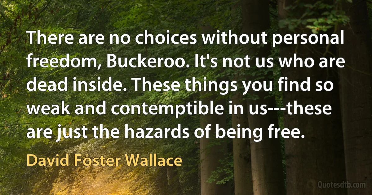 There are no choices without personal freedom, Buckeroo. It's not us who are dead inside. These things you find so weak and contemptible in us---these are just the hazards of being free. (David Foster Wallace)