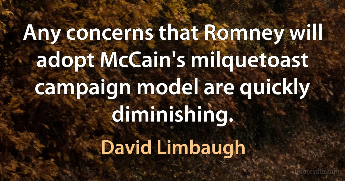 Any concerns that Romney will adopt McCain's milquetoast campaign model are quickly diminishing. (David Limbaugh)