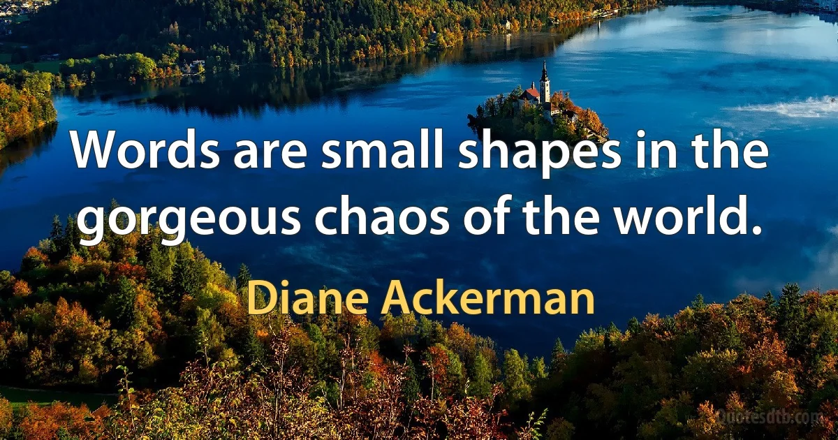 Words are small shapes in the gorgeous chaos of the world. (Diane Ackerman)