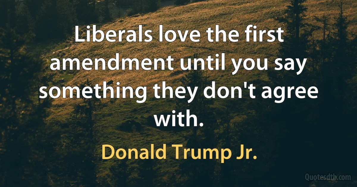 Liberals love the first amendment until you say something they don't agree with. (Donald Trump Jr.)