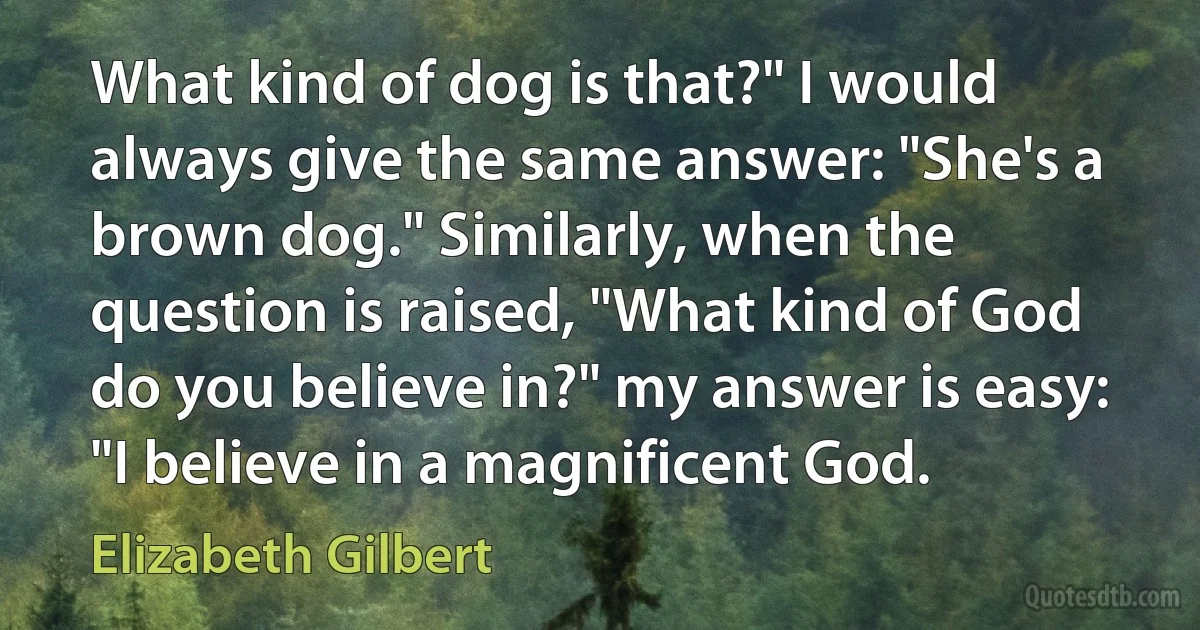 What kind of dog is that?" I would always give the same answer: "She's a brown dog." Similarly, when the question is raised, "What kind of God do you believe in?" my answer is easy: "I believe in a magnificent God. (Elizabeth Gilbert)