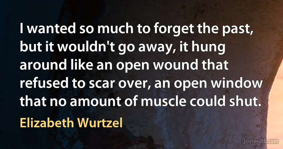 I wanted so much to forget the past, but it wouldn't go away, it hung around like an open wound that refused to scar over, an open window that no amount of muscle could shut. (Elizabeth Wurtzel)