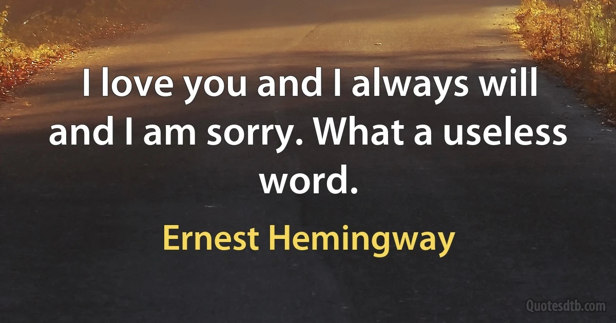 I love you and I always will and I am sorry. What a useless word. (Ernest Hemingway)