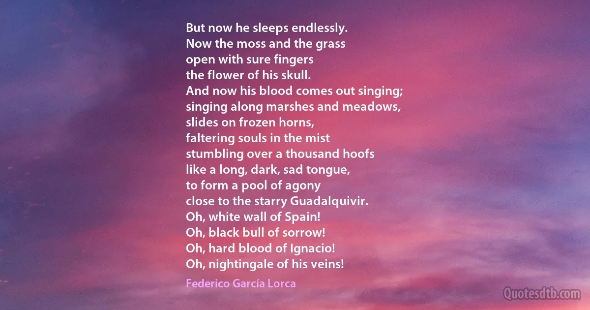 But now he sleeps endlessly.
Now the moss and the grass
open with sure fingers
the flower of his skull.
And now his blood comes out singing;
singing along marshes and meadows,
slides on frozen horns,
faltering souls in the mist
stumbling over a thousand hoofs
like a long, dark, sad tongue,
to form a pool of agony
close to the starry Guadalquivir.
Oh, white wall of Spain!
Oh, black bull of sorrow!
Oh, hard blood of Ignacio!
Oh, nightingale of his veins! (Federico García Lorca)