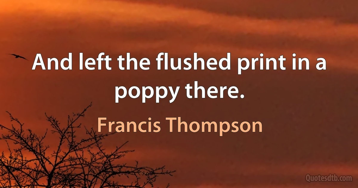 And left the flushed print in a poppy there. (Francis Thompson)