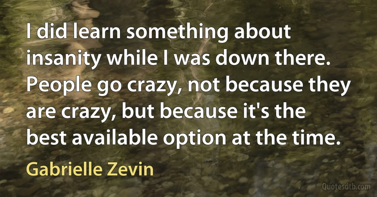 I did learn something about insanity while I was down there. People go crazy, not because they are crazy, but because it's the best available option at the time. (Gabrielle Zevin)