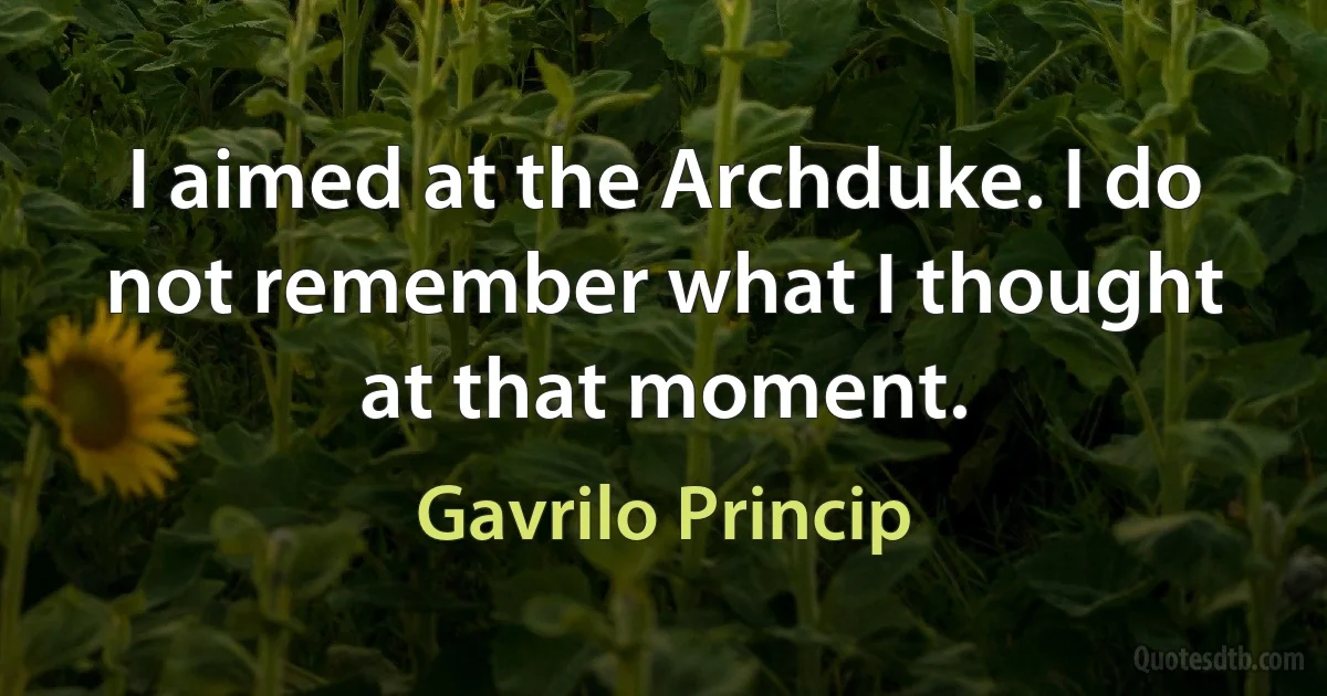 I aimed at the Archduke. I do not remember what I thought at that moment. (Gavrilo Princip)