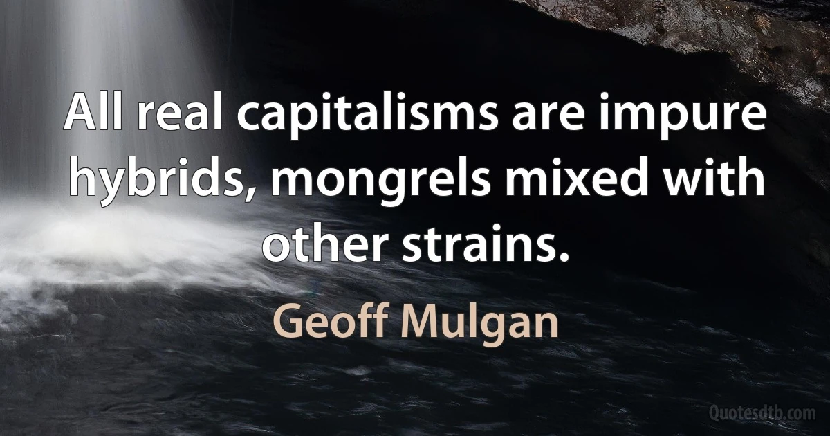 All real capitalisms are impure hybrids, mongrels mixed with other strains. (Geoff Mulgan)