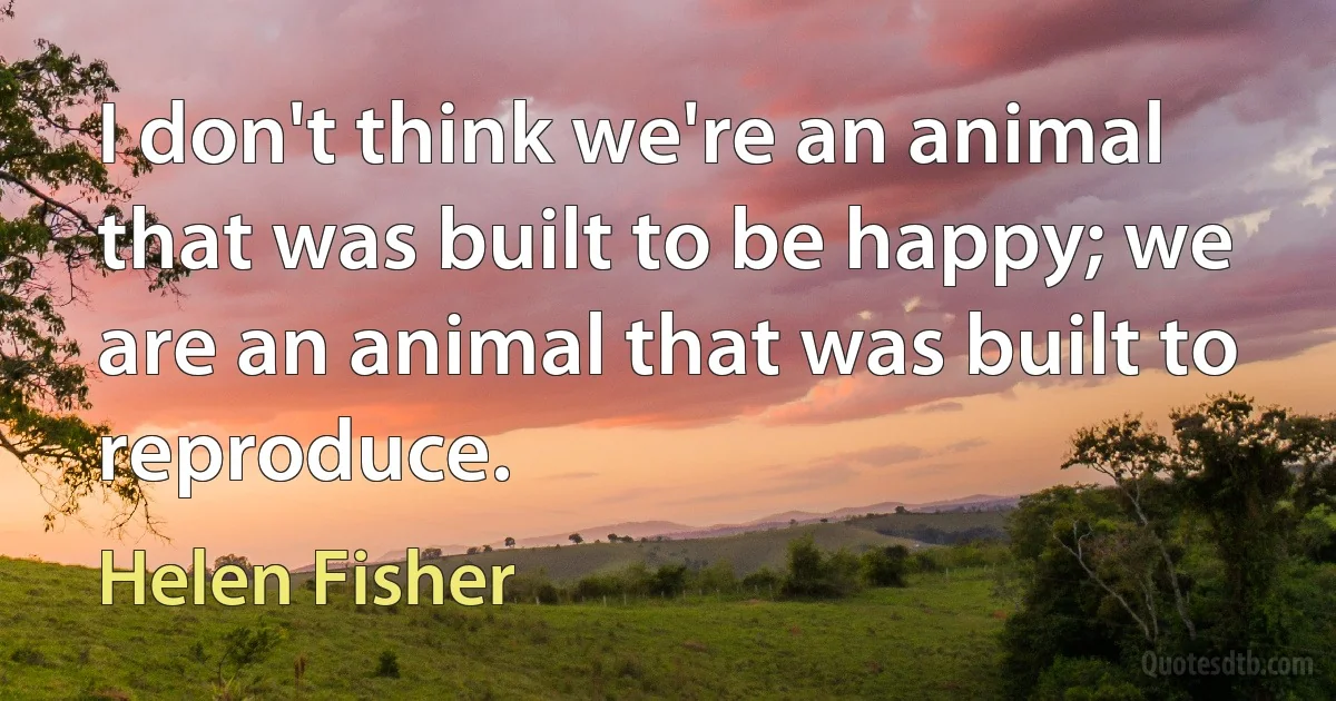 I don't think we're an animal that was built to be happy; we are an animal that was built to reproduce. (Helen Fisher)