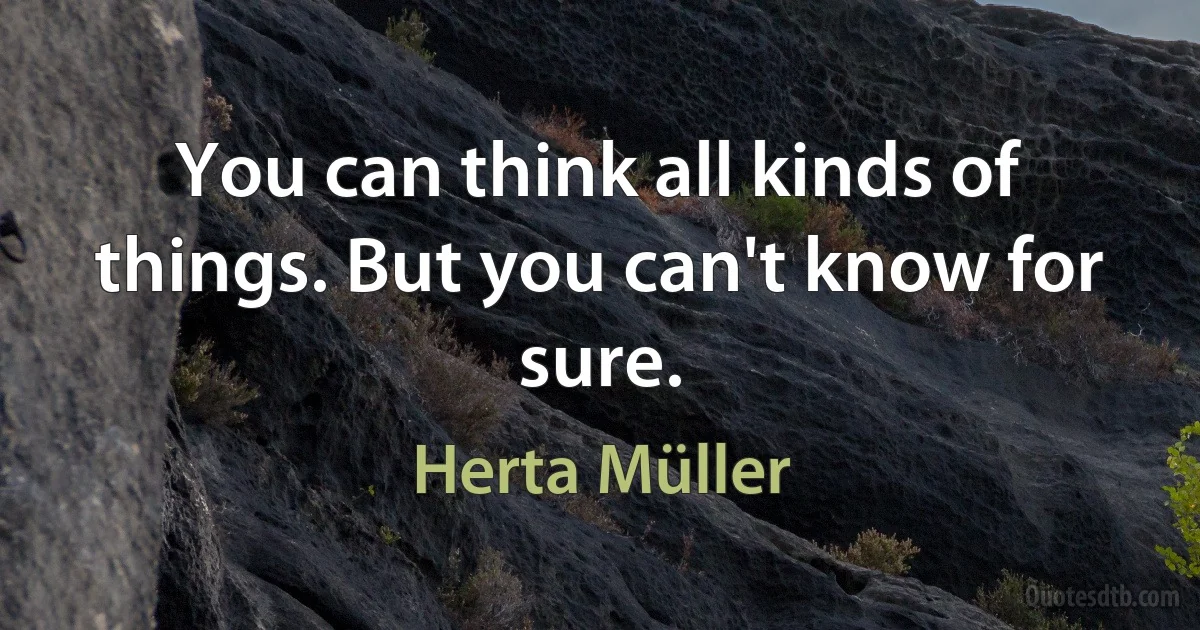 You can think all kinds of things. But you can't know for sure. (Herta Müller)