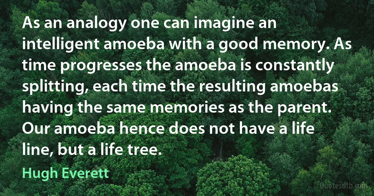 As an analogy one can imagine an intelligent amoeba with a good memory. As time progresses the amoeba is constantly splitting, each time the resulting amoebas having the same memories as the parent. Our amoeba hence does not have a life line, but a life tree. (Hugh Everett)