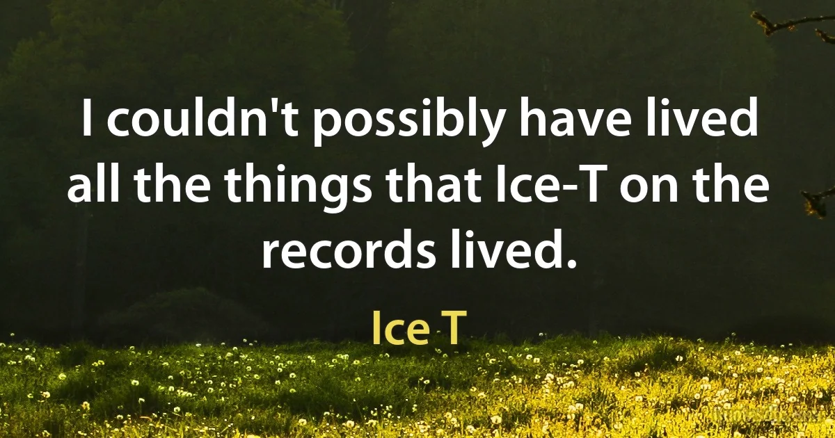 I couldn't possibly have lived all the things that Ice-T on the records lived. (Ice T)