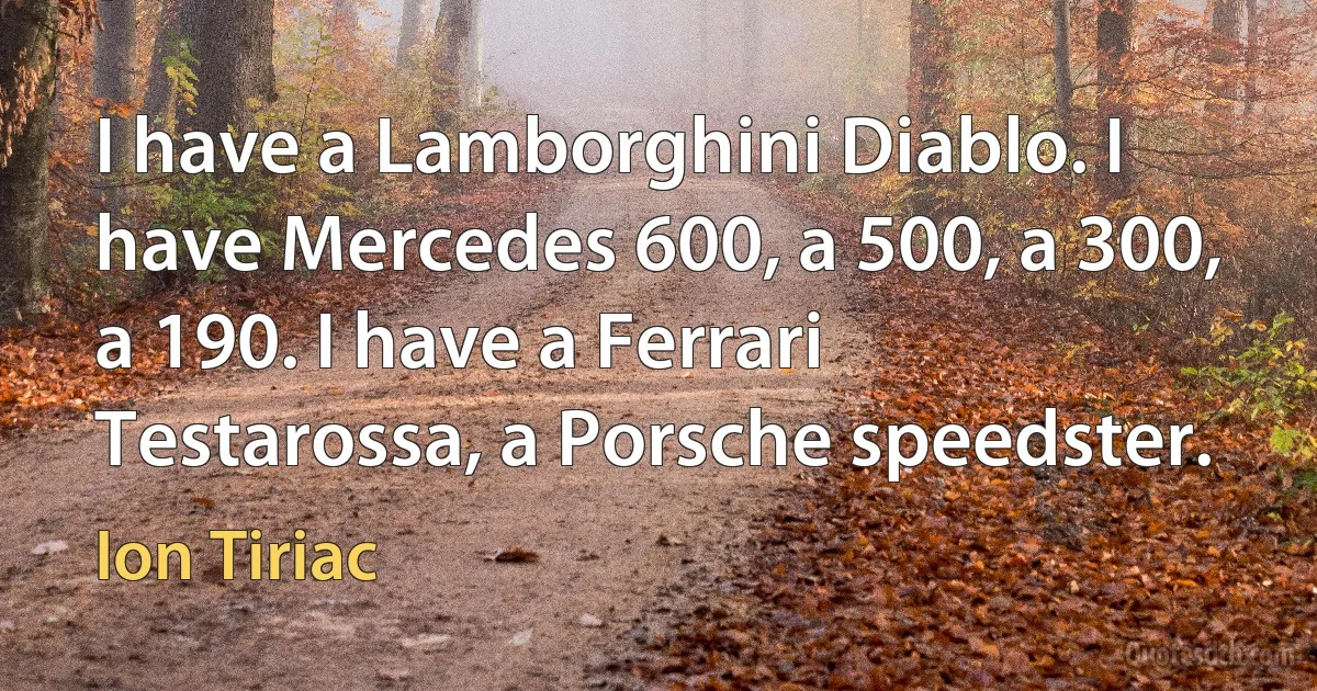 I have a Lamborghini Diablo. I have Mercedes 600, a 500, a 300, a 190. I have a Ferrari Testarossa, a Porsche speedster. (Ion Tiriac)